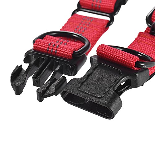 Festnight Strong Durable Dog Collar Dual D-ring Nylon Comprimento ajustável Tiras reflexivas Confort