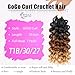 7 Packs GoGo Curl Crochet Hair 10 Inch Short Curly Crochet Hair Beach Curl Water Wave Crochet Braids Synthetic Hair Extensions (10 Inch, T1B/30/27)