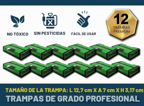 Trampas para arañas MaxGuard que solucionan plagas de insectos rastreros sin usar venenos 4