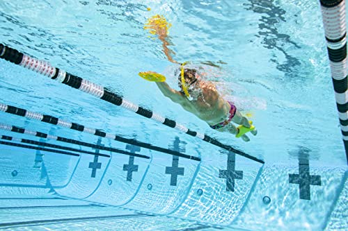 Finis Manta Swim Training Hand Paddle For Competitive Swimming Exercise , Large #TOP5