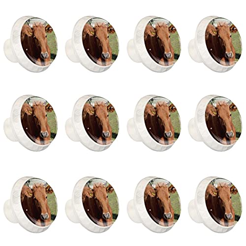 Boutons de cuisine vache pour relooker vos meubles de ranch et commodes rustiques - 2