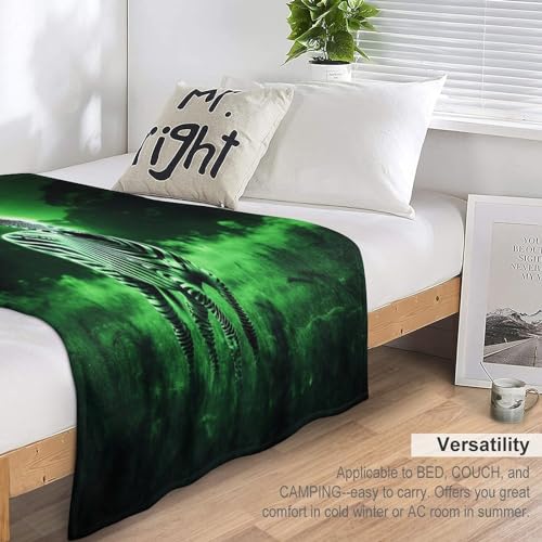 Manta de cebra calida de franela mullida para sofa 7