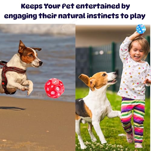 Image of GRAPHENE Moon Ball-High Bounce Rubber Jump Space Pop Bouncing Stress Relief Jumping Children Sensory Athlete Training Ball Pets Outdoor Indoor Play Multicolour (Pack of 1)