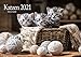 Produktbild Edition Seidel Katzen Premium Kalender 2021 DIN A3 Wandkalender Katzenkalender