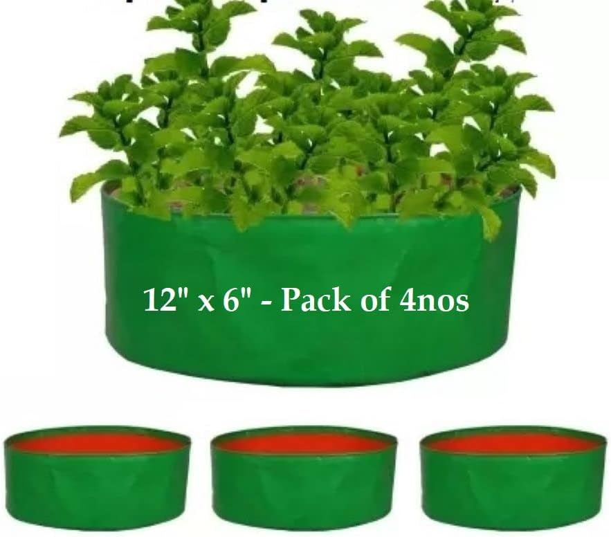 MASHKI 12" x 6" Micro Green HPDE Growbags, Pack of 4 Grow Bags for Home Gardening, Terrace Balcony Gardening, Spinach Bhaji Special Grow Bag