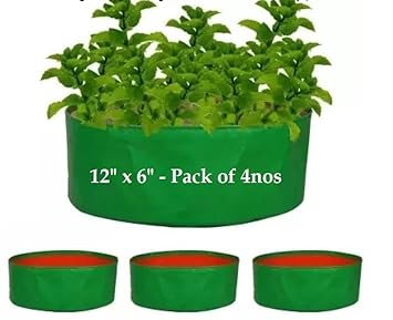 MASHKI 12" x 6" Micro Green HPDE Growbags, Pack of 4 Grow Bags for Home Gardening, Terrace Balcony Gardening, Spinach Bhaji Special Grow Bag
