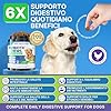 Probiotici per Cani, Prebiotici per la Salute Intestinale–Supporta la Salute Digestiva e l’Assorbimento dei Nutrienti–200 Bocconcini Morbidi che Supportano la Salute della Pelle e la Salute Generale