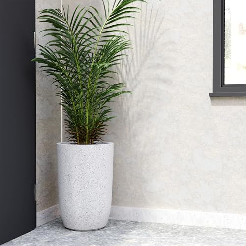 Image of YUCCABE ITALIA FOXB TPC 18 INCH Pots for Plants Highly Durable Polymers Lightweight Indoor Outdoor Plant Pots, Flower Pot Gamla Tree Planter Container Planters for Living Room, Balcony, Garden