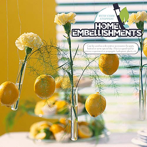 Hnyyzl 28 25Pcs Clear Plastic Test Tubes thumb #4