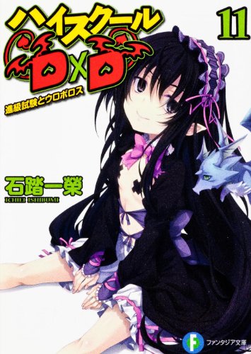 Ouroboros and High School D ~ D 11 senior examination (Fujimi Fantasia Bunko)