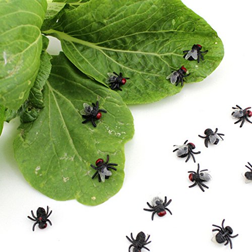 Wendy Mall 20 Pcs Novelty Lifelike Plastic Fake Fly Kidding Prank Fly Bugs Realistic Insects Gag Joke Gifts For April Fool Halloween And Party Prop #TOP1