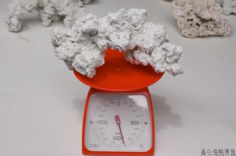 テーブルサンゴ??白珊瑚??天然珊瑚??珊瑚礁??デスロック??インテリア