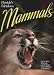 Florida's Fabulous Mammals