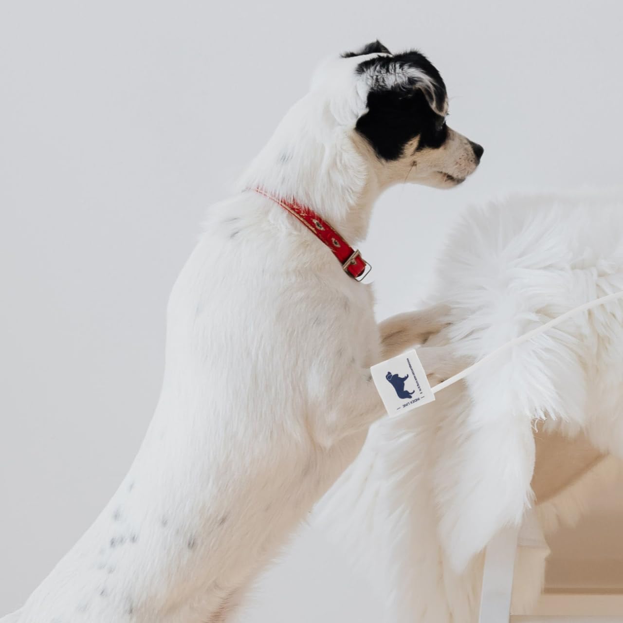 BESTYASH Manguito de presión arterial para mascotas, tamaño universal, tela no tejida, puño de TPU para gatos y animales, seguro, fácil de limpiar, fácil de usar y cómodo para monitor de presión
