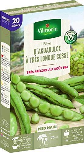 Vilmorin Fève d Aguadulce a très Longue cosse Boite série 20m, Vert