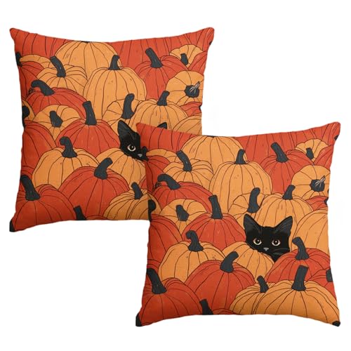 Coussin automne chat noir pour une déco de ferme chaleureuse