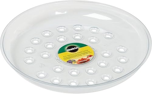 Miracle-Gro SMGCVSH08 - Plato de plástico resistente de 8 pulgadas, transparente