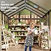 GarveeHome 6X8 FT Greenhouse, Walk-in Greenhouse Kit with Aluminum Frame, Polycarbonate Panels, Adjustable Roof Vent, Sliding Door, Secure Lock for Outside Garden, Patio, Backyard #3