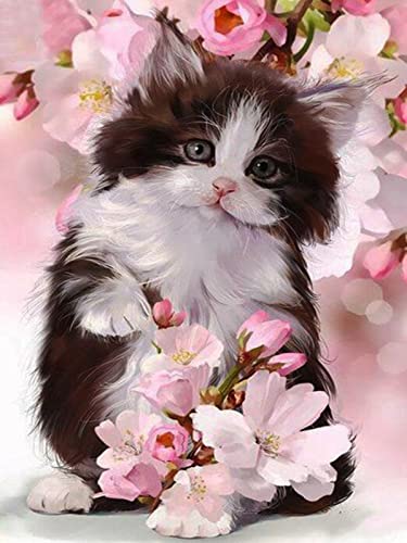 Kit point de croix imprimé Chat et Fleurs 11CT 40x50cm pour broderie DIY