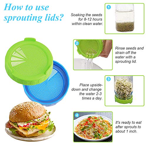YEVIOR Sprouting Lids,Plastic Sprout Lid,for Wide Mouth Mason Jars, Sprouting Jar Lids Easy Rinse & Drain-Suitable for Grow Bean Sprouts,Alfalfa, Sprouting Kit with Storage Lids–4Pack - Thumbnail 3