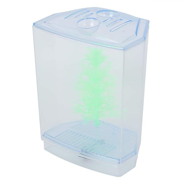 Foto 7 de 8 de Leftwei Mini-Aquarium, Mini-Aquarium, Transparent, Wasserpflanzen, Zuchtbox, Schlüpfinkubator (einzeln)