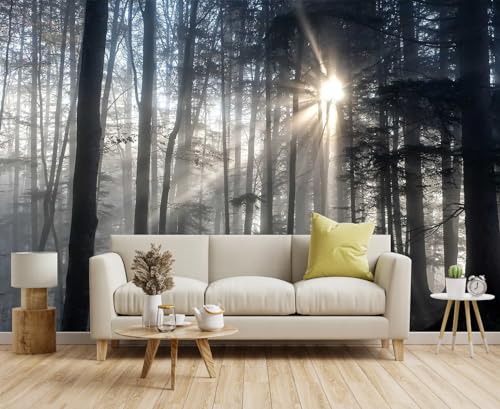 Toolhom Misty Forest Mysterious Sunrise Mural, Forest Wallpaper