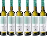 WEINART: Weißwein Trocken, Jahrgang 2020 im 6er Paket