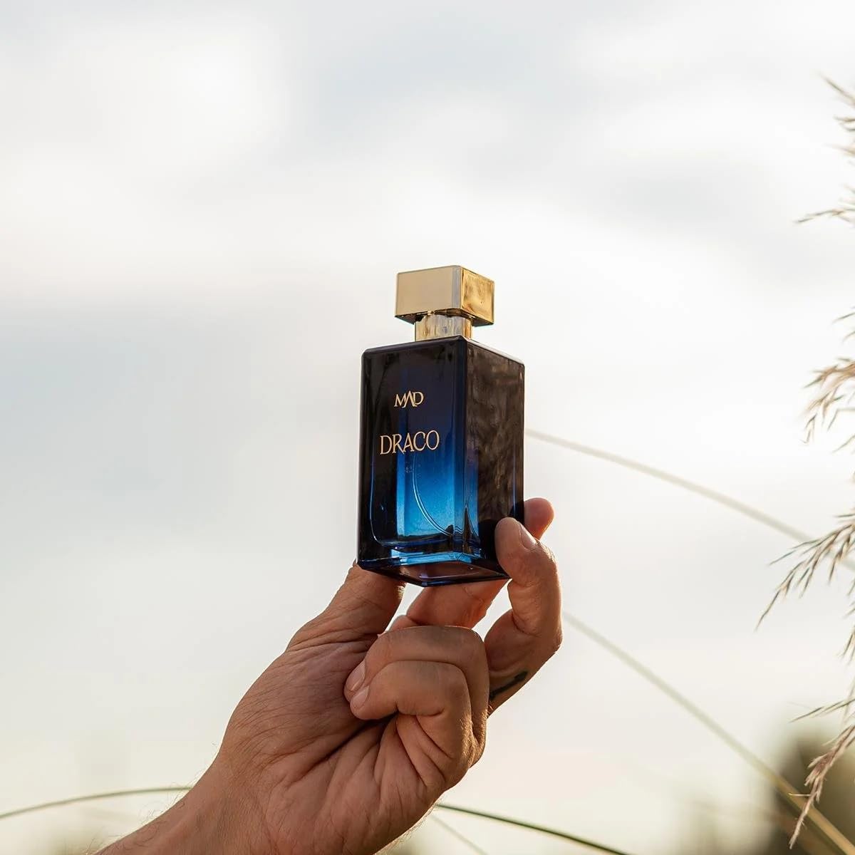 MAD Draco Unisex Parfum Extrait de Parfum 100 ml - Zitrone & Amber & Rose | Ambery