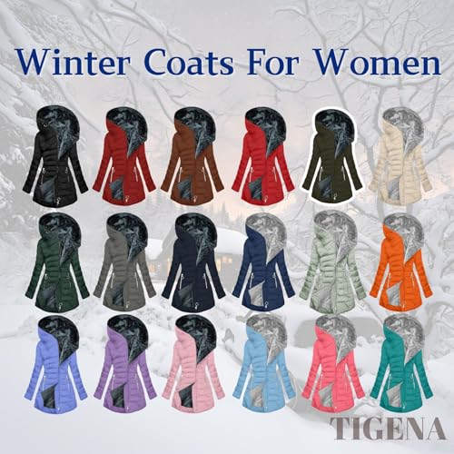Winter Coats for Women with Hood Fleece Lined Thicken Puffer Coat Sherpa Warm Jackets Trendy 2024 Outfits Clothes3