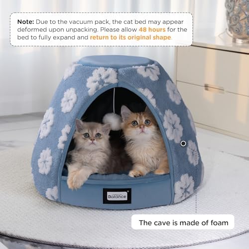 BALANCE Cat Beds for Indoor Cats — packaging and what arrives in the box