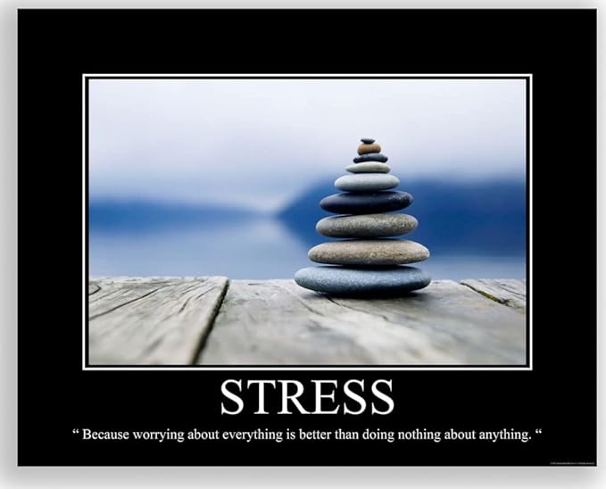 Inspirational Wall Art Co. Stress Demotivational Poster