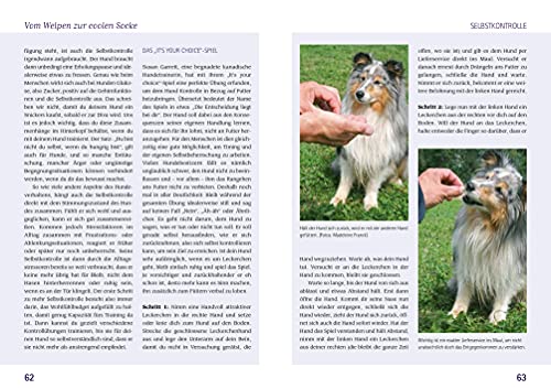 Das Buch für Hundeeltern: Hunde emotional verstehen und erziehen