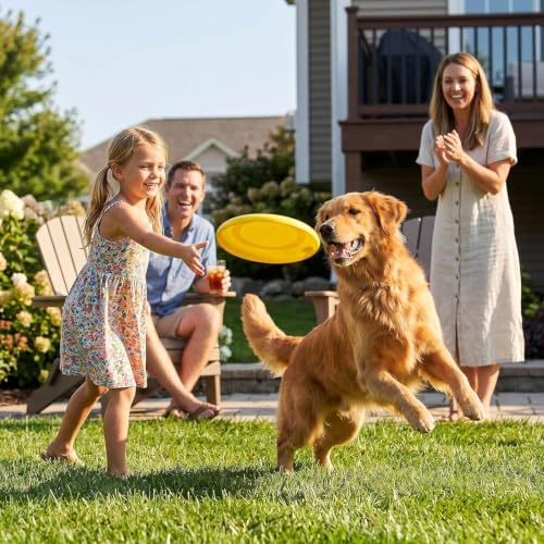 FOOING Golf Game LED with 2 Clubs – 9 Hole Practice Backyard Set for Adults & Family, Indoor/Outdoor Plastic Battle Yard Game with Balls, Flags – Perfect for Lawn, Beach, Camping, Park by FOOING - Used condition - Image 2
