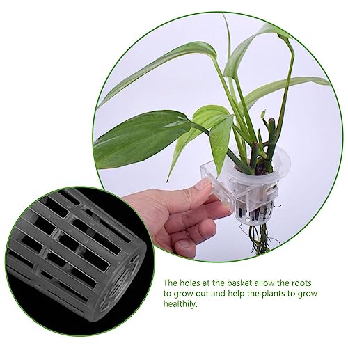 Image of FRCOLOR 4Pcs Hanging Aquarium Plant Holder with Suction Cups Fish Tank Planter Cup for Plants Promotes Water Circulation and Plant Growth