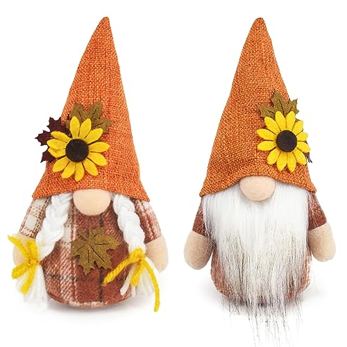 DUOCIYUAN Ornamento per Bambola di Zucca Girasole 2 Pezzi Ringraziamento Gnomo Compleanno Decorazione Gnomo Gnomi Fatte a Mano Statuette di Elfi Nani per Il Ringraziamento Natale Raduno di Feste