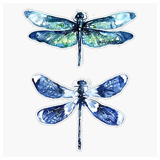 Dragonfly Wings Vinyl Sticker Waterproof Bumper Sticker Laptop Window Decal 5"