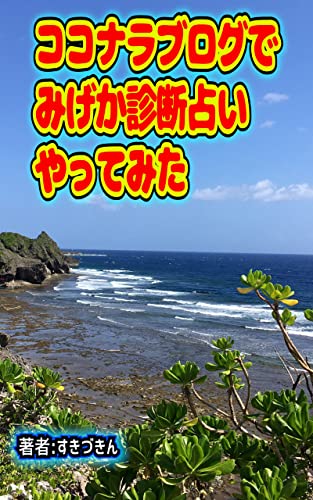 ココナラブログでみげか診断占いやってみた