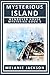 Mysterious Island (Wendover House Cozy Mysteries Book 5)