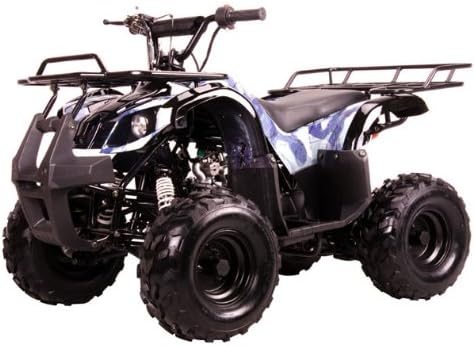 TAO TAO Model # 125D ATV 110cc Fully Auto with Reverse - New SPIDER BLACK color