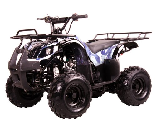 TAO TAO Model # 125D ATV 110cc Fully Auto with Reverse - New SPIDER BLACK color