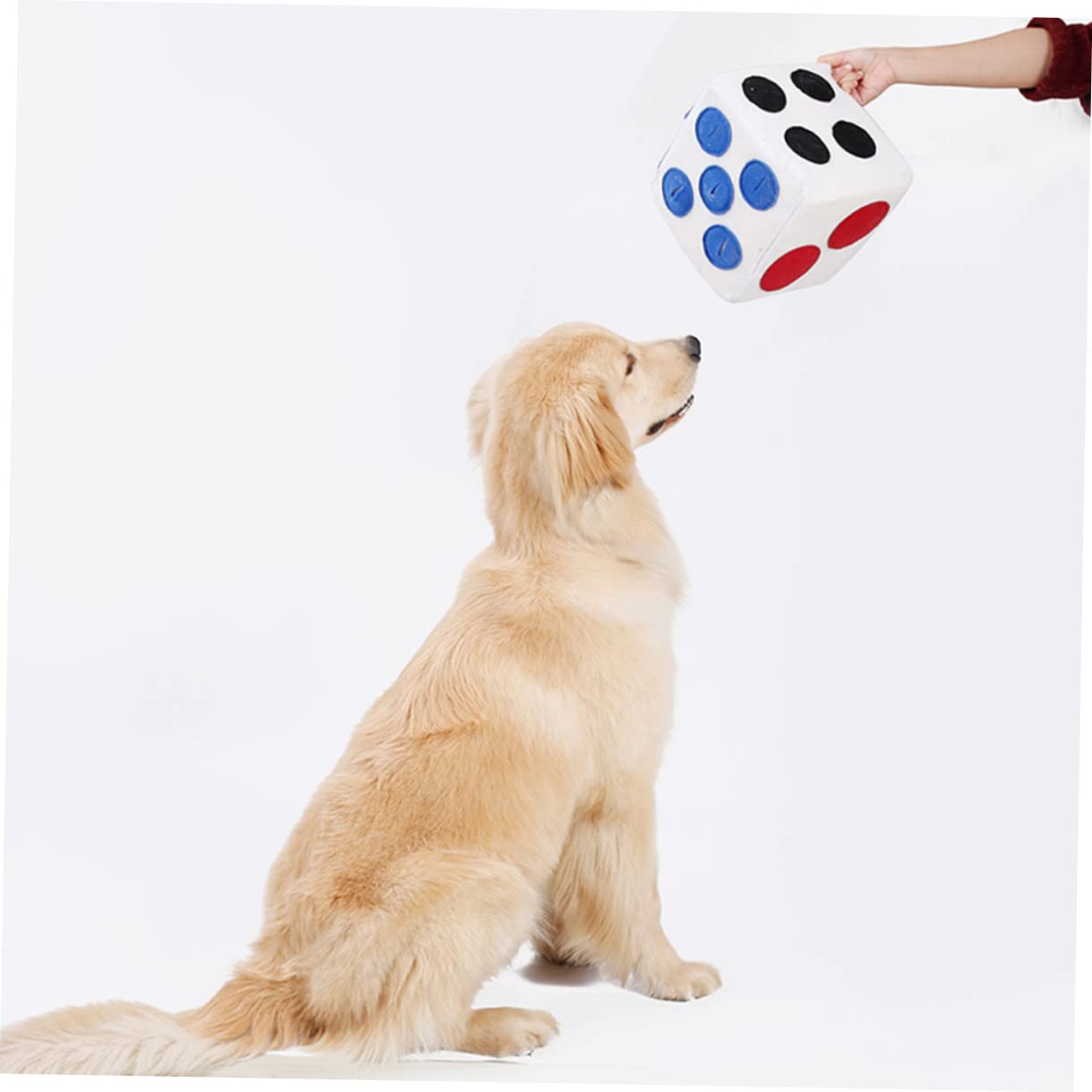 COLLBATH Jouet Interactif pour Chien Jouet À Renifler Alimentation Lente Dés en Peluche pour Le De L'animal