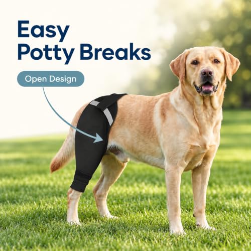 Image of Dog Rear Leg Sleeve to Stop Licking After Wound Surgery Recovery Suit