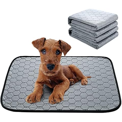 Tapis de dressage LEEWEITAS Cover