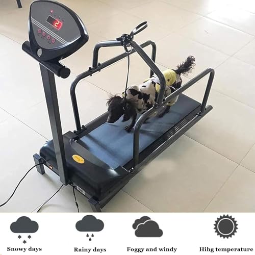 Hundelaufband FüR Kleine Hunde,Hundelaufband FüR Mittlere Hunde,200w Motor,Geschwindigkeitsbereich 0,8–6 Km/H,Mit Neigungsverstellung Und Anzeigebildschirm,TragfäHigkeit 80 Kg,C200