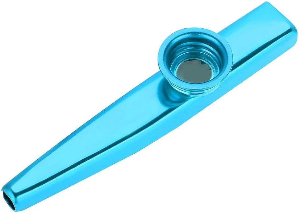 Kazoos Instruments à vent Instruments de musique et Sono Amazon.fr