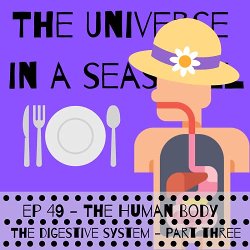 Page de couverture de The Human Body – The Digestive System – Part Three
