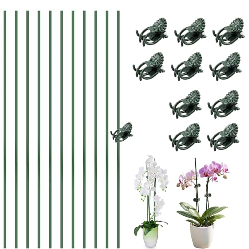 CLERIVI Plant Support Stakes with Clips, Green, 30 cm, 10 Pack, Single Stem Support for Indoor Orchid, Peony, Lily, Potted Flowers