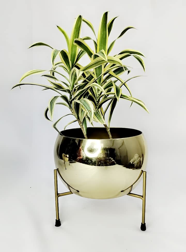 Metal Flower Pot diining Table Small Pot vase for Table for Balcony Garden Pots wth Stand Print Color (Gold Small) (B0C64N89ZF) Amazon Price History, Amazon Price Tracker