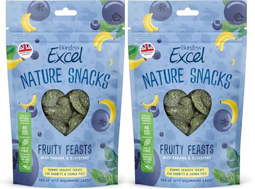 2x 60g Burgess Excel Fruity Feasts Treats for Rabbits and Guinea Pigs – Bundled by GetInStyle Shop