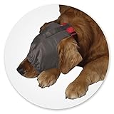 thundershirt kaufen  Calming Cap MEDIUM